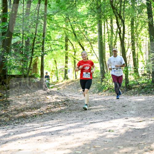 28.09.2025 - 33. Volkslauf durch das schöne Alstertal Dr. Thomas Lammeyer http://msf.ph/oto/8963041 28.09.2025 11:13:38 Laufen 3004, 3358 meine-sportfotos.de