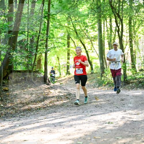 28.09.2025 - 33. Volkslauf durch das schöne Alstertal Dr. Thomas Lammeyer http://msf.ph/oto/8963043 28.09.2025 11:13:38 Laufen 3004, 3358 meine-sportfotos.de