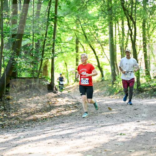 28.09.2025 - 33. Volkslauf durch das schöne Alstertal Dr. Thomas Lammeyer http://msf.ph/oto/8963044 28.09.2025 11:13:39 Laufen 3004, 3358 meine-sportfotos.de