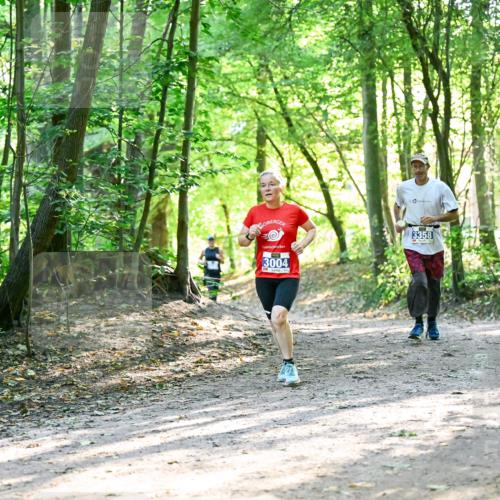 28.09.2025 - 33. Volkslauf durch das schöne Alstertal Dr. Thomas Lammeyer http://msf.ph/oto/8963045 28.09.2025 11:13:39 Laufen 3004, 3358 meine-sportfotos.de