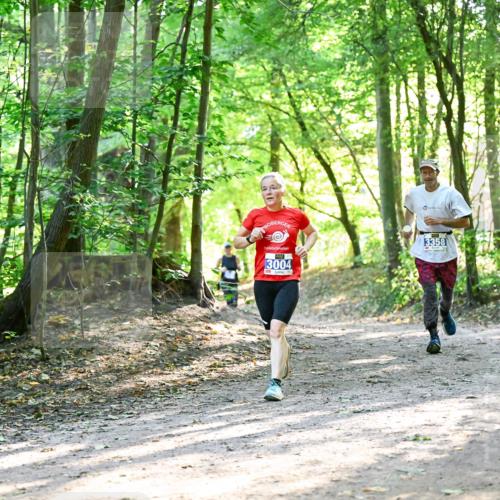 28.09.2025 - 33. Volkslauf durch das schöne Alstertal Dr. Thomas Lammeyer http://msf.ph/oto/8963046 28.09.2025 11:13:39 Laufen 3004, 3358 meine-sportfotos.de