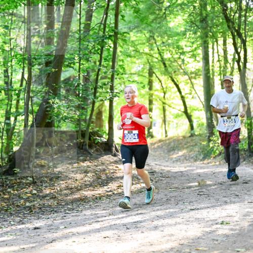 28.09.2025 - 33. Volkslauf durch das schöne Alstertal Dr. Thomas Lammeyer http://msf.ph/oto/8963049 28.09.2025 11:13:39 Laufen 3004, 3358 meine-sportfotos.de