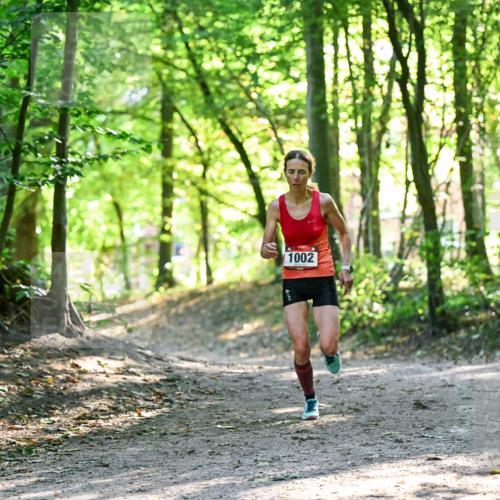 28.09.2025 - 33. Volkslauf durch das schöne Alstertal Dr. Thomas Lammeyer http://msf.ph/oto/8963061 28.09.2025 11:13:50 Laufen 1002 meine-sportfotos.de