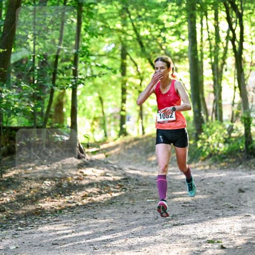 28.09.2025 - 33. Volkslauf durch das schöne Alstertal Dr. Thomas Lammeyer http://msf.ph/oto/8963066 28.09.2025 11:13:50 Laufen 1062 meine-sportfotos.de