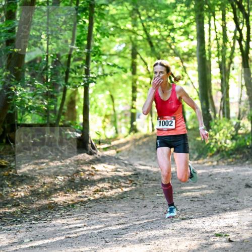 28.09.2025 - 33. Volkslauf durch das schöne Alstertal Dr. Thomas Lammeyer http://msf.ph/oto/8963067 28.09.2025 11:13:50 Laufen 1002 meine-sportfotos.de