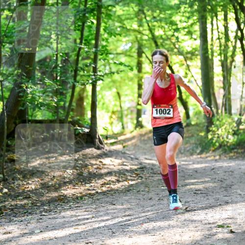 28.09.2025 - 33. Volkslauf durch das schöne Alstertal Dr. Thomas Lammeyer http://msf.ph/oto/8963068 28.09.2025 11:13:50 Laufen 1002 meine-sportfotos.de