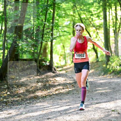 28.09.2025 - 33. Volkslauf durch das schöne Alstertal Dr. Thomas Lammeyer http://msf.ph/oto/8963069 28.09.2025 11:13:51 Laufen 1002 meine-sportfotos.de