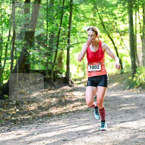 28.09.2025 - 33. Volkslauf durch das schöne Alstertal Dr. Thomas Lammeyer http://msf.ph/oto/8963070 28.09.2025 11:13:51 Laufen 1002 meine-sportfotos.de