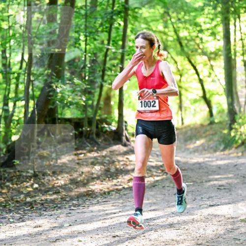28.09.2025 - 33. Volkslauf durch das schöne Alstertal Dr. Thomas Lammeyer http://msf.ph/oto/8963072 28.09.2025 11:13:51 Laufen 1002 meine-sportfotos.de