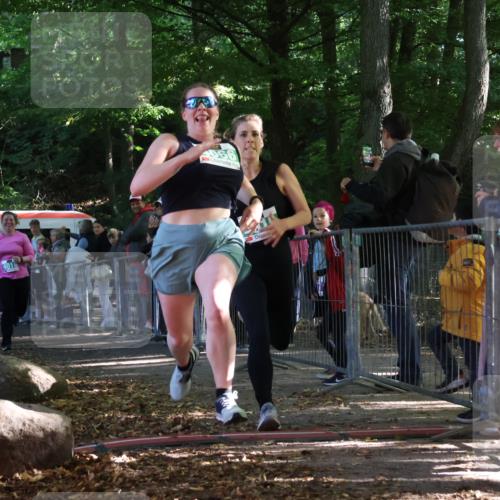 28.09.2025 - 33. Volkslauf durch das schöne Alstertal Strokosch-Dieckow http://msf.ph/oto/8963094 28.09.2025 11:01:43 Ziel 4015, 4016, 4066 meine-sportfotos.de