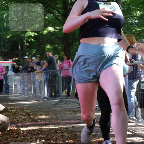 28.09.2025 - 33. Volkslauf durch das schöne Alstertal Strokosch-Dieckow http://msf.ph/oto/8963105 28.09.2025 11:01:44 Ziel 4015, 4016, 4066 meine-sportfotos.de