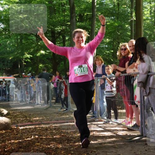 28.09.2025 - 33. Volkslauf durch das schöne Alstertal Strokosch-Dieckow http://msf.ph/oto/8963129 28.09.2025 11:01:47 Ziel 4016 meine-sportfotos.de