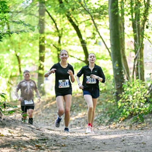 28.09.2025 - 33. Volkslauf durch das schöne Alstertal Dr. Thomas Lammeyer http://msf.ph/oto/8963146 28.09.2025 11:14:13 Laufen 3013, 3015 meine-sportfotos.de