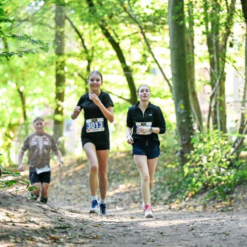 28.09.2025 - 33. Volkslauf durch das schöne Alstertal Dr. Thomas Lammeyer http://msf.ph/oto/8963147 28.09.2025 11:14:13 Laufen 3013 meine-sportfotos.de