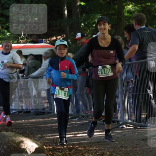 28.09.2025 - 33. Volkslauf durch das schöne Alstertal Strokosch-Dieckow http://msf.ph/oto/8963167 28.09.2025 11:01:54 Ziel 4180, 4181, 4189 meine-sportfotos.de