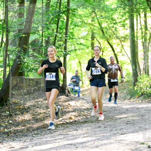 28.09.2025 - 33. Volkslauf durch das schöne Alstertal Dr. Thomas Lammeyer http://msf.ph/oto/8963170 28.09.2025 11:14:16 Laufen 3013, 3015 meine-sportfotos.de