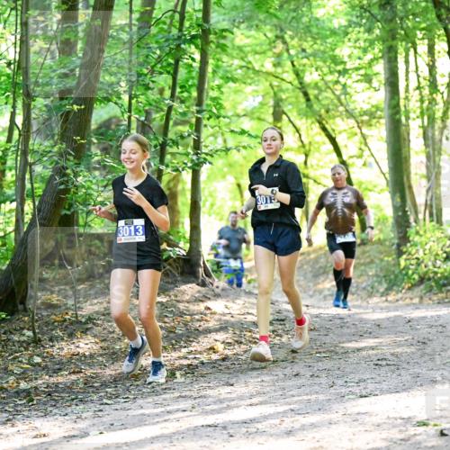 28.09.2025 - 33. Volkslauf durch das schöne Alstertal Dr. Thomas Lammeyer http://msf.ph/oto/8963171 28.09.2025 11:14:16 Laufen 3013, 3013 meine-sportfotos.de