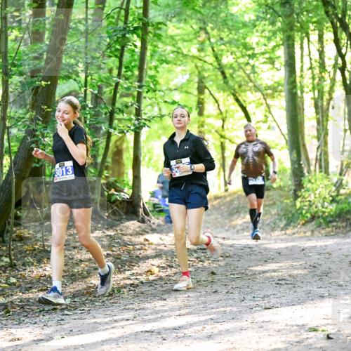 28.09.2025 - 33. Volkslauf durch das schöne Alstertal Dr. Thomas Lammeyer http://msf.ph/oto/8963172 28.09.2025 11:14:16 Laufen 3013 meine-sportfotos.de