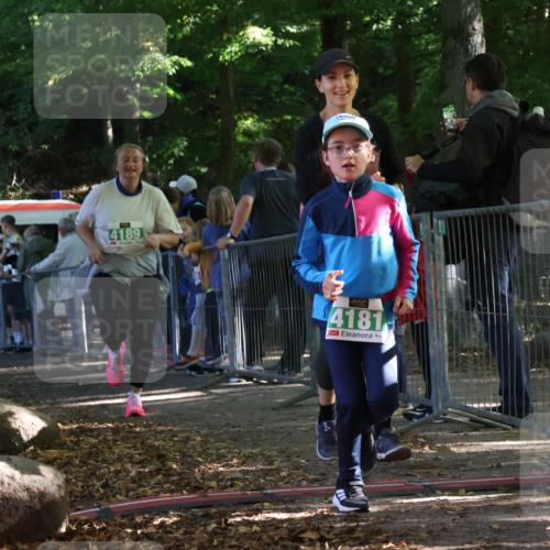 28.09.2025 - 33. Volkslauf durch das schöne Alstertal Strokosch-Dieckow http://msf.ph/oto/8963184 28.09.2025 11:01:57 Ziel 4180, 4181, 4189 meine-sportfotos.de