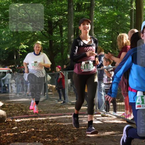28.09.2025 - 33. Volkslauf durch das schöne Alstertal Strokosch-Dieckow http://msf.ph/oto/8963204 28.09.2025 11:01:58 Ziel 4180, 4181, 4189 meine-sportfotos.de