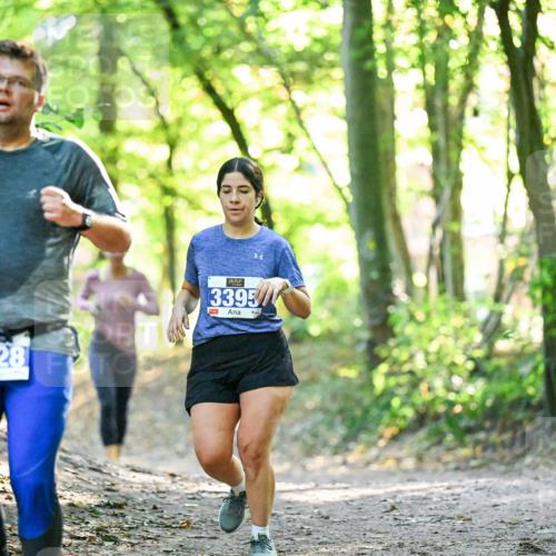 28.09.2025 - 33. Volkslauf durch das schöne Alstertal Dr. Thomas Lammeyer http://msf.ph/oto/8963208 28.09.2025 11:14:23 Laufen 3928, 3395, 1 meine-sportfotos.de