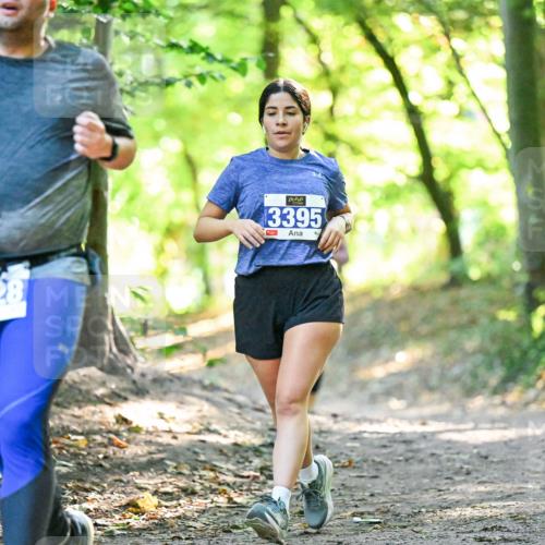 28.09.2025 - 33. Volkslauf durch das schöne Alstertal Dr. Thomas Lammeyer http://msf.ph/oto/8963213 28.09.2025 11:14:24 Laufen 3928, 3395, 1 meine-sportfotos.de