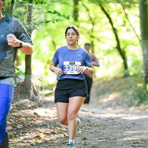 28.09.2025 - 33. Volkslauf durch das schöne Alstertal Dr. Thomas Lammeyer http://msf.ph/oto/8963214 28.09.2025 11:14:24 Laufen 3928, 33957 meine-sportfotos.de