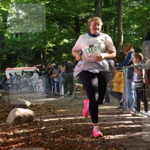 28.09.2025 - 33. Volkslauf durch das schöne Alstertal Strokosch-Dieckow http://msf.ph/oto/8963216 28.09.2025 11:01:59 Ziel 4189 meine-sportfotos.de