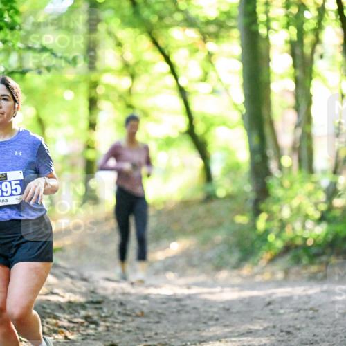 28.09.2025 - 33. Volkslauf durch das schöne Alstertal Dr. Thomas Lammeyer http://msf.ph/oto/8963218 28.09.2025 11:14:24 Laufen 3395, 1 meine-sportfotos.de