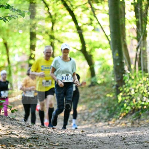 28.09.2025 - 33. Volkslauf durch das schöne Alstertal Dr. Thomas Lammeyer http://msf.ph/oto/8963219 28.09.2025 11:14:29 Laufen 3191 meine-sportfotos.de
