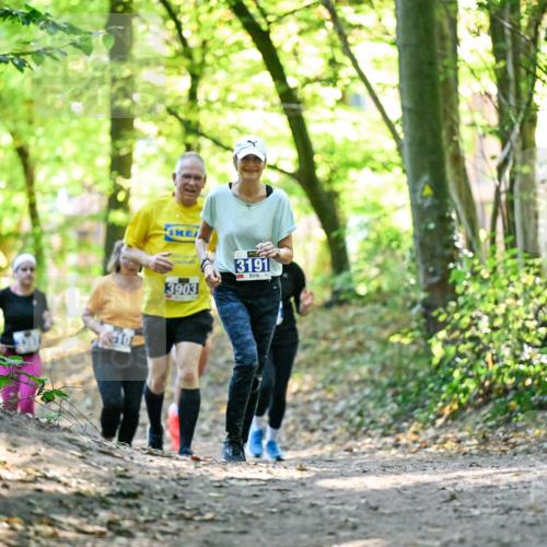 28.09.2025 - 33. Volkslauf durch das schöne Alstertal Dr. Thomas Lammeyer http://msf.ph/oto/8963220 28.09.2025 11:14:29 Laufen 610, 3903, 3191 meine-sportfotos.de