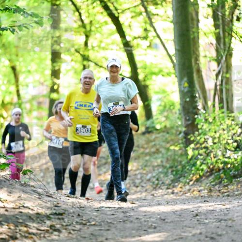 28.09.2025 - 33. Volkslauf durch das schöne Alstertal Dr. Thomas Lammeyer http://msf.ph/oto/8963221 28.09.2025 11:14:29 Laufen 3903 meine-sportfotos.de
