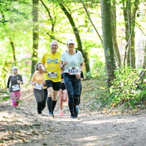 28.09.2025 - 33. Volkslauf durch das schöne Alstertal Dr. Thomas Lammeyer http://msf.ph/oto/8963222 28.09.2025 11:14:30 Laufen 3410, 3903, 3191 meine-sportfotos.de