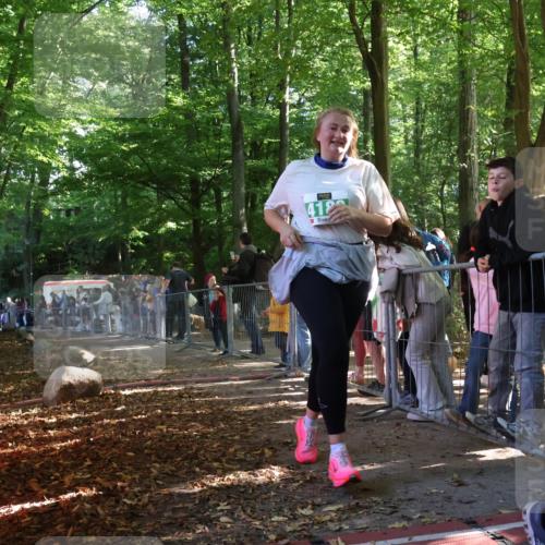 28.09.2025 - 33. Volkslauf durch das schöne Alstertal Strokosch-Dieckow http://msf.ph/oto/8963223 28.09.2025 11:02:00 Ziel 4189 meine-sportfotos.de