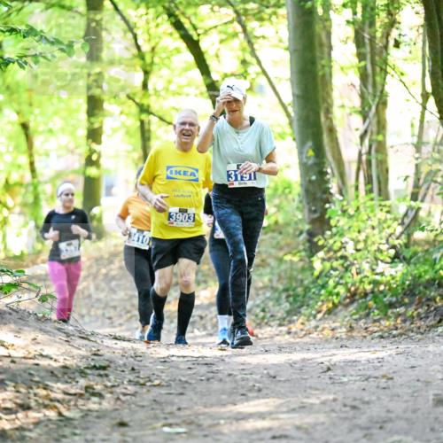 28.09.2025 - 33. Volkslauf durch das schöne Alstertal Dr. Thomas Lammeyer http://msf.ph/oto/8963227 28.09.2025 11:14:30 Laufen 3191, 3410, 3903 meine-sportfotos.de
