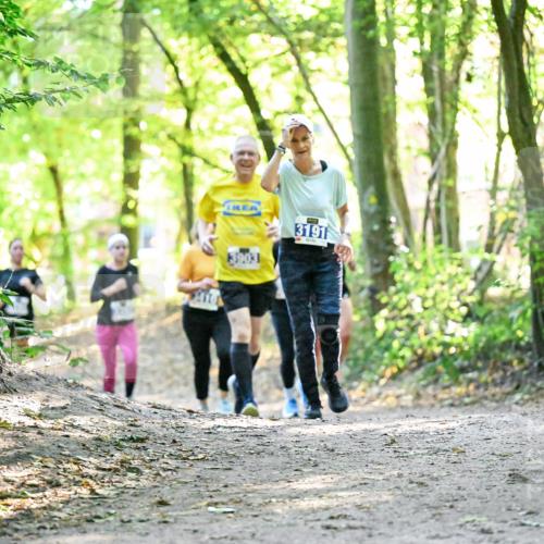 28.09.2025 - 33. Volkslauf durch das schöne Alstertal Dr. Thomas Lammeyer http://msf.ph/oto/8963230 28.09.2025 11:14:30 Laufen 3903, 3191 meine-sportfotos.de