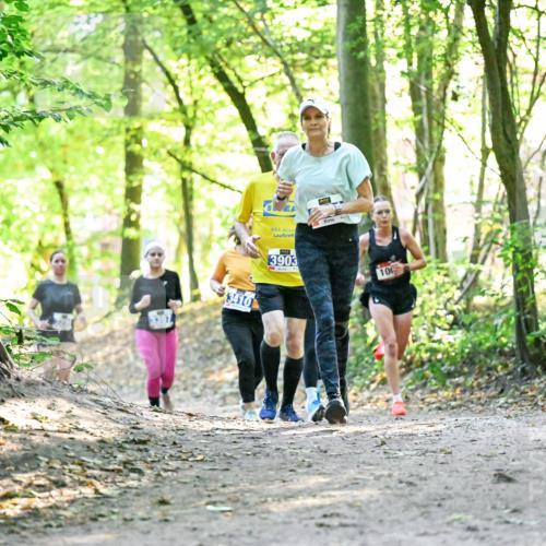 28.09.2025 - 33. Volkslauf durch das schöne Alstertal Dr. Thomas Lammeyer http://msf.ph/oto/8963235 28.09.2025 11:14:31 Laufen 3410, 3903, 10 meine-sportfotos.de