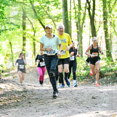 28.09.2025 - 33. Volkslauf durch das schöne Alstertal Dr. Thomas Lammeyer http://msf.ph/oto/8963243 28.09.2025 11:14:32 Laufen 3191, 903, 1001 meine-sportfotos.de