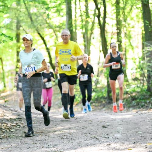 28.09.2025 - 33. Volkslauf durch das schöne Alstertal Dr. Thomas Lammeyer http://msf.ph/oto/8963245 28.09.2025 11:14:32 Laufen 3191, 3903, 1001 meine-sportfotos.de