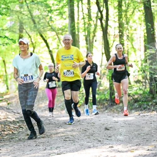 28.09.2025 - 33. Volkslauf durch das schöne Alstertal Dr. Thomas Lammeyer http://msf.ph/oto/8963246 28.09.2025 11:14:33 Laufen 3191, 3903, 1000 meine-sportfotos.de