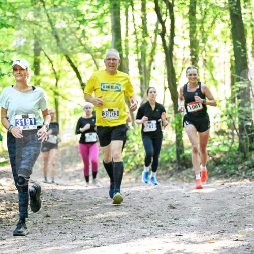28.09.2025 - 33. Volkslauf durch das schöne Alstertal Dr. Thomas Lammeyer http://msf.ph/oto/8963249 28.09.2025 11:14:33 Laufen 3191, 3903, 1001 meine-sportfotos.de