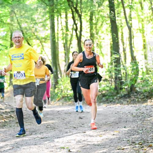 28.09.2025 - 33. Volkslauf durch das schöne Alstertal Dr. Thomas Lammeyer http://msf.ph/oto/8963254 28.09.2025 11:14:34 Laufen 3903, 01 meine-sportfotos.de