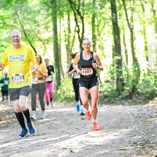 28.09.2025 - 33. Volkslauf durch das schöne Alstertal Dr. Thomas Lammeyer http://msf.ph/oto/8963256 28.09.2025 11:14:34 Laufen 3903, 1001 meine-sportfotos.de