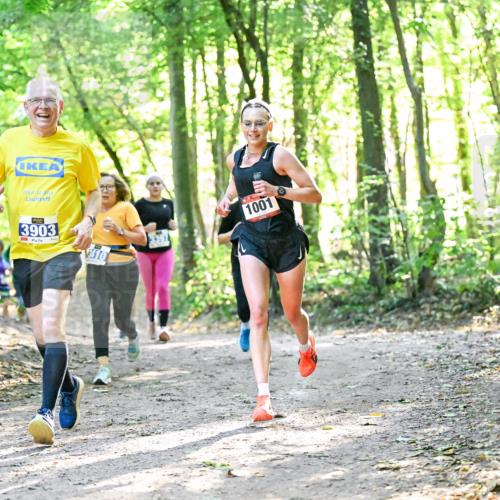 28.09.2025 - 33. Volkslauf durch das schöne Alstertal Dr. Thomas Lammeyer http://msf.ph/oto/8963257 28.09.2025 11:14:34 Laufen 3903, 310, 1001 meine-sportfotos.de