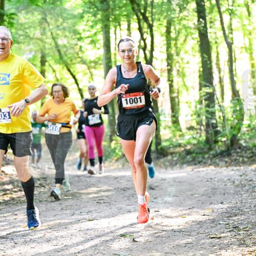28.09.2025 - 33. Volkslauf durch das schöne Alstertal Dr. Thomas Lammeyer http://msf.ph/oto/8963258 28.09.2025 11:14:35 Laufen 3903, 3410, 1001 meine-sportfotos.de