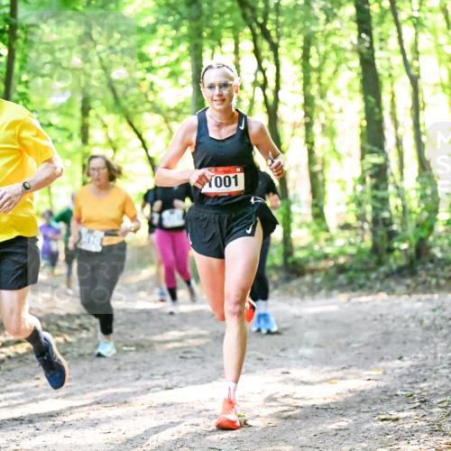 28.09.2025 - 33. Volkslauf durch das schöne Alstertal Dr. Thomas Lammeyer http://msf.ph/oto/8963259 28.09.2025 11:14:35 Laufen 3903, 001 meine-sportfotos.de