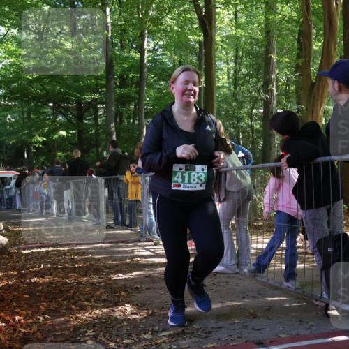 28.09.2025 - 33. Volkslauf durch das schöne Alstertal Strokosch-Dieckow http://msf.ph/oto/8963261 28.09.2025 11:02:41 Ziel 4183 meine-sportfotos.de