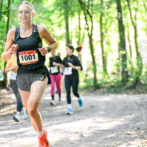 28.09.2025 - 33. Volkslauf durch das schöne Alstertal Dr. Thomas Lammeyer http://msf.ph/oto/8963264 28.09.2025 11:14:35 Laufen 1001 meine-sportfotos.de