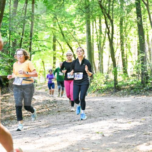 28.09.2025 - 33. Volkslauf durch das schöne Alstertal Dr. Thomas Lammeyer http://msf.ph/oto/8963265 28.09.2025 11:14:36 Laufen 11, 3410, 3216 meine-sportfotos.de