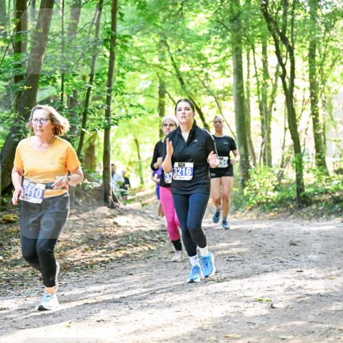 28.09.2025 - 33. Volkslauf durch das schöne Alstertal Dr. Thomas Lammeyer http://msf.ph/oto/8963269 28.09.2025 11:14:36 Laufen 3410, 43216 meine-sportfotos.de
